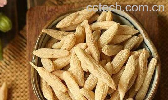 中药忍陵的功效与作用-0