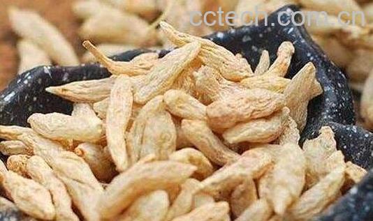 中药忍陵的功效与作用-1