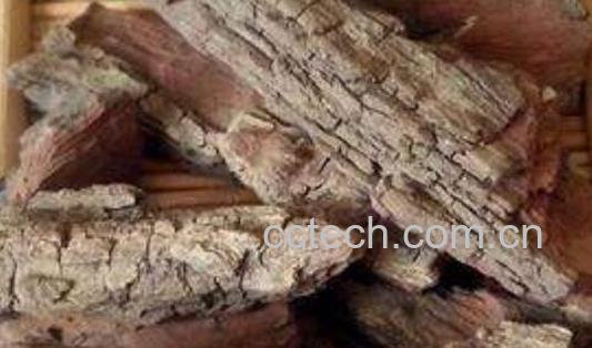 枣树皮熬水喝有什么用 枣树皮煮水的功效-1