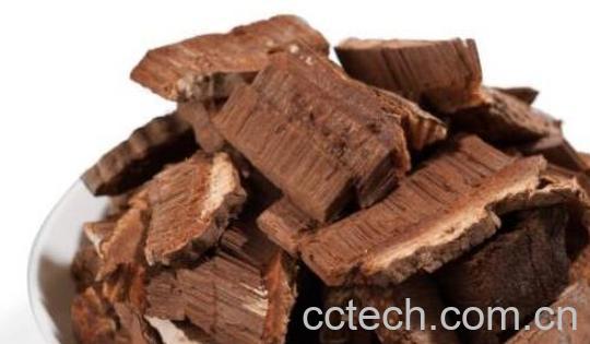 平盖灵芝和灵芝的区别 平盖灵芝的吃法-0