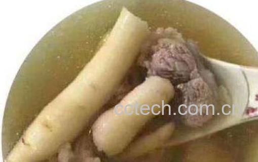 糖泡参的功效与作用及禁忌-1