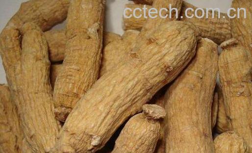 泡参怎么吃 泡参的食用方法-1