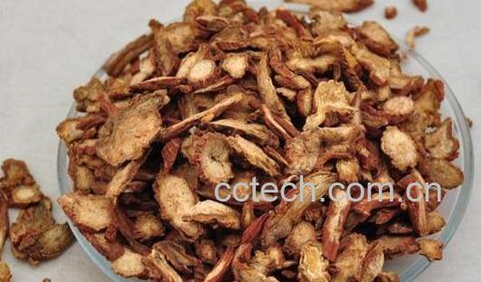 酒丹参的功效与作用及用法-0