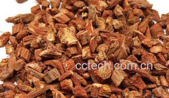 丹参哪五种人不能喝 吃丹参的禁忌有哪些-0