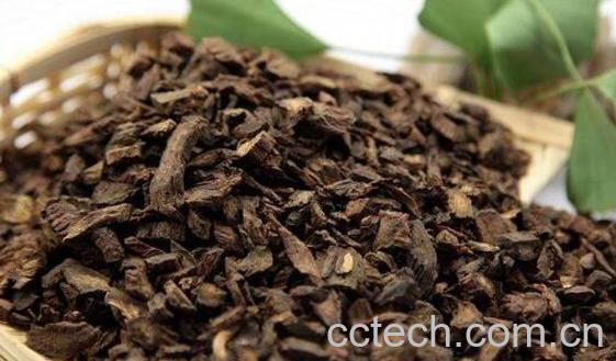 丹参哪五种人不能喝 吃丹参的禁忌有哪些-1