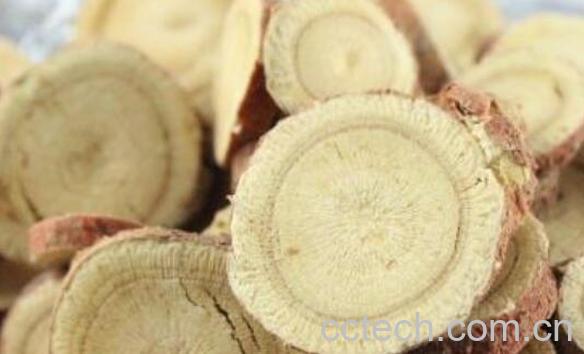 粉草和甘草的区别 甘草的功效-1