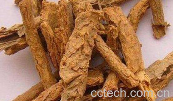 枸杞根的功效与作用及禁忌-1