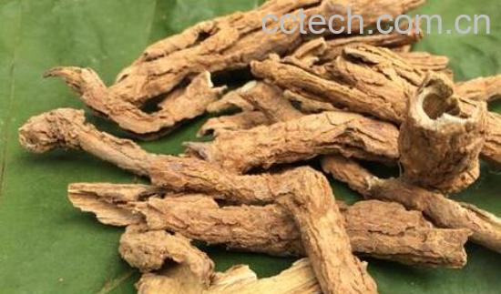 枸杞根的功效与作用及禁忌-0