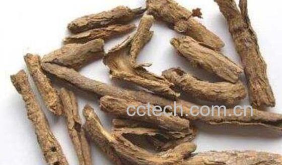 枸杞根煮水喝的功效与作用-0