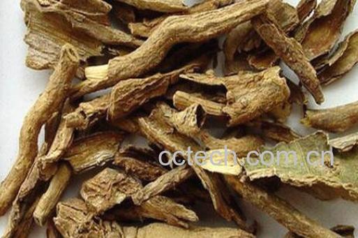 枸杞根煮水喝的功效与作用-1