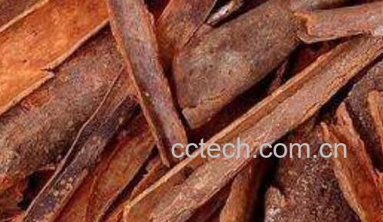 山肉桂的功效与作用-0