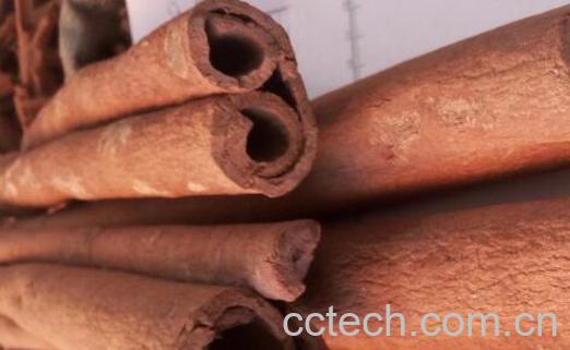 山肉桂的功效与作用-1