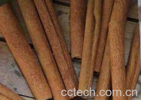 土肉桂的功效与作用-0