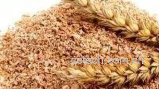 炒麦麸热敷功效与作用-1