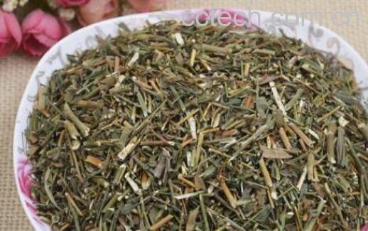 竹叶柴胡的功效与作用及禁忌-0