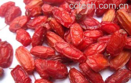 山萸肉的功效与作用及禁忌-1