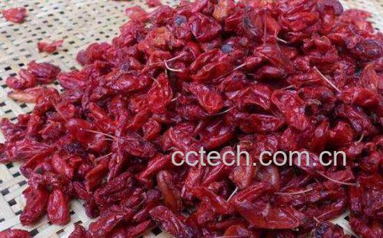 山茱萸泡水喝的禁忌 山茱萸泡水喝的好处-1