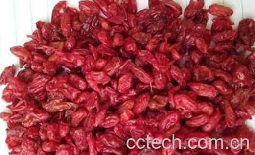 山茱萸泡水喝的禁忌 山茱萸泡水喝的好处-0