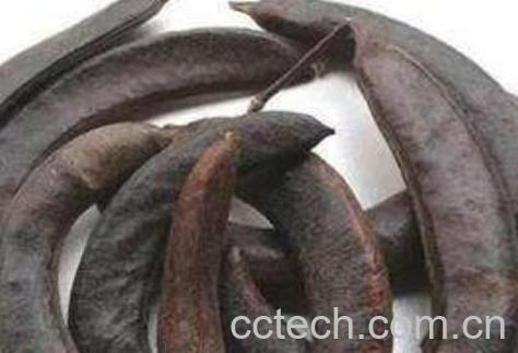 皂角洗头的作用与功效是什么-1