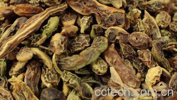 槐角泡水喝的功效作用-0