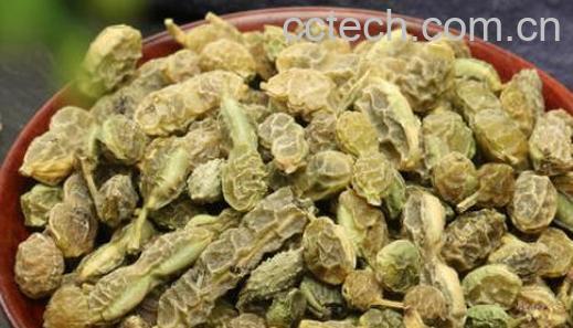 槐角泡水喝的功效作用-1