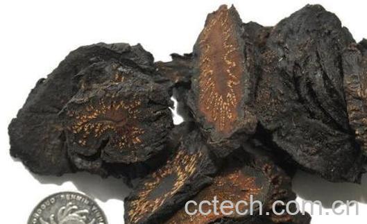 酒苁蓉的副作用与禁忌症-1