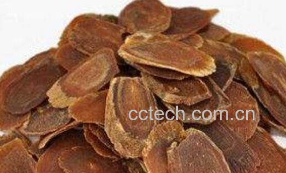 高丽参什么人不能吃 哪些人不能补高丽参-1