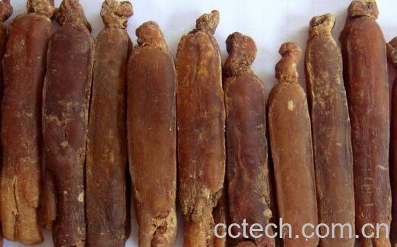 高丽参什么人不能吃 哪些人不能补高丽参-0