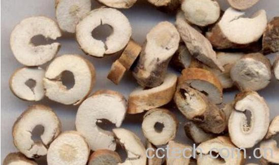 丹皮的功效与作用 丹皮的副作用和禁忌-1