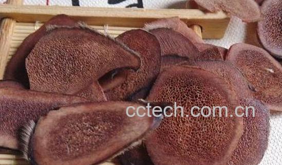 人参鹿茸泡茶的功效与作用-1