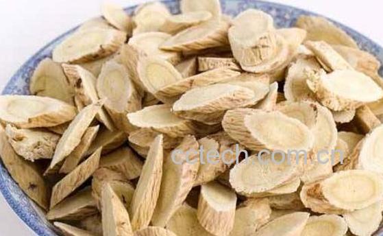 女性喝黄芪的功效与作用-1