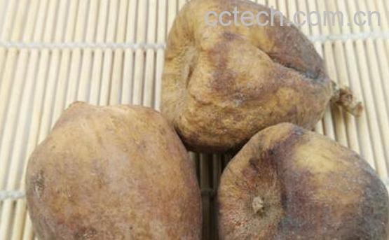 木馒头的功效与作用-1