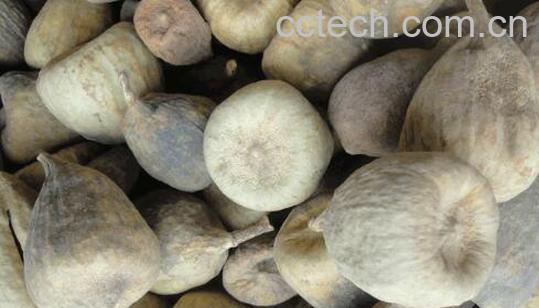 木馒头的功效与作用-0