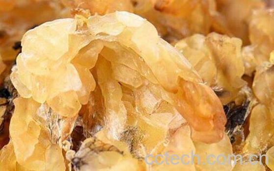 林蛙油有什么功能 林蛙油的作用与用途-1