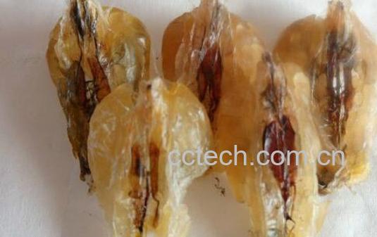 林蛙油对性功能的作用 林蛙油对男人有副作用-0