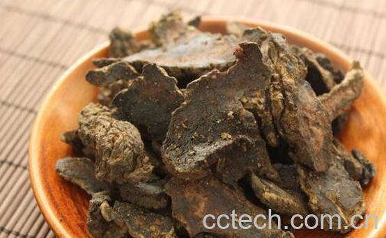 地黄的功效与作用 自己挖的地黄怎么吃-0