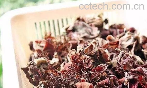 木棉花泡脚的功效作用-1