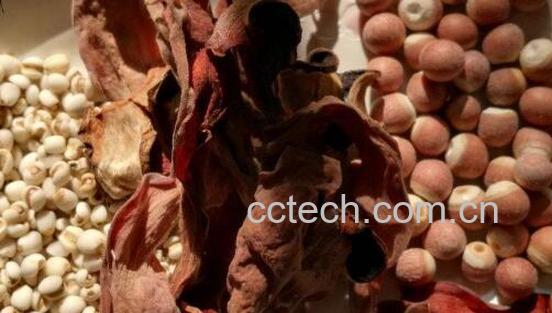 中药木棉花的功效与作用 木棉花的副作用-1