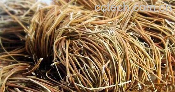 鸡骨草的功效与作用 鸡骨草的禁忌副作用-1