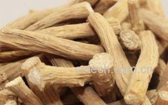 牛膝的功效与作用 牛膝的禁忌-1