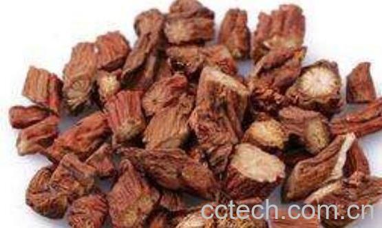 丹参的功效与作用 丹参的药用价值与副作用-0