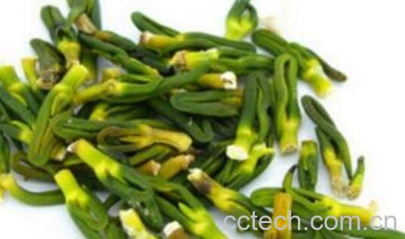 莲子心的副作用及禁忌-1