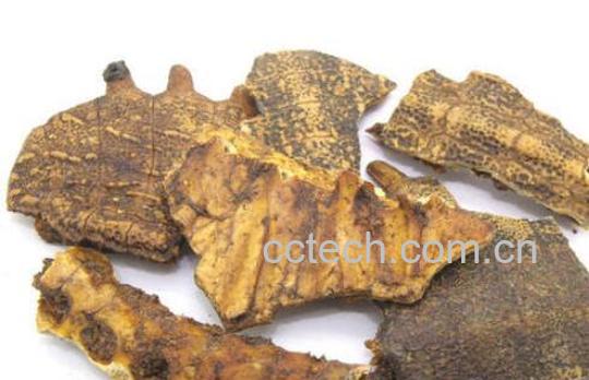 生鳖甲与炙鳖甲的功效区别 鳖甲的功效-0