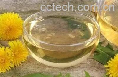 蒲公英菊花泡水的功效与作用 -1