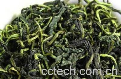 蒲公英叶茶能的禁忌-1