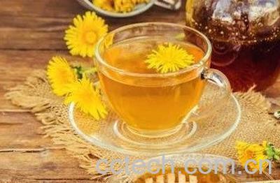 蜂蜜蒲公英茶的功效与作用-1