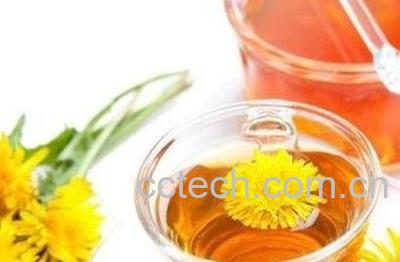  蒲公英蜂蜜茶的功效与作用-1