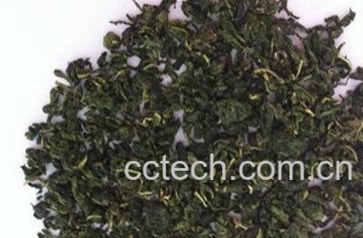 炒蒲公英茶的制作方法-0