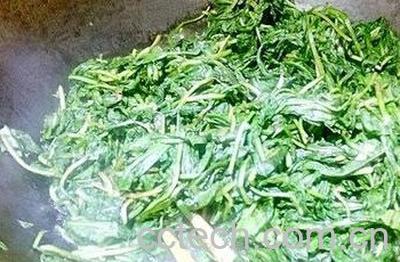 炒蒲公英茶的制作方法-1