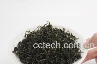  炒蒲公英茶功效与作用-1